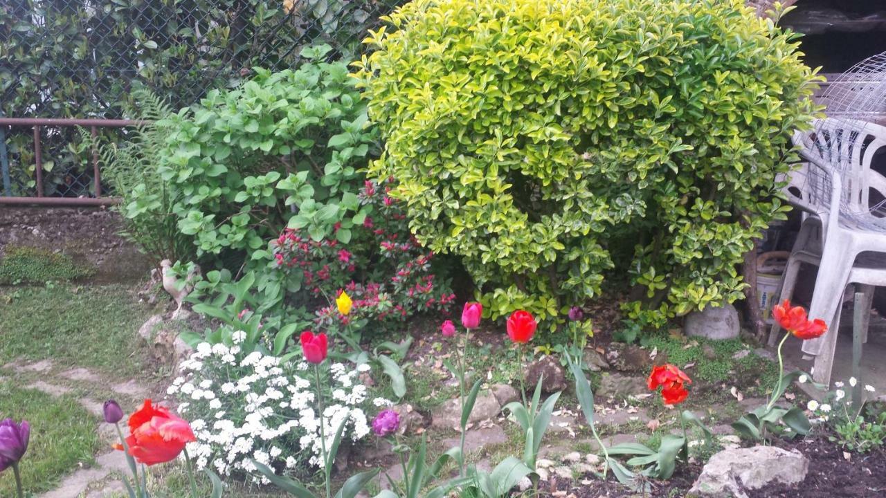 B&B Il Patio 베르가모 외부 사진
